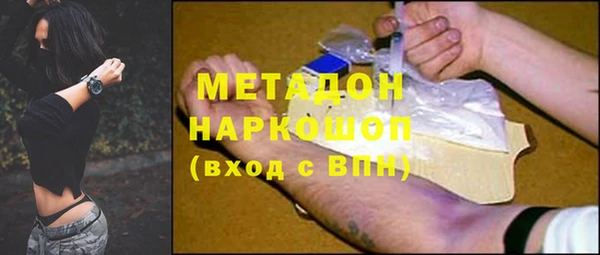 прущие грибы Вязники