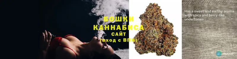 Канабис SATIVA & INDICA  как найти закладки  Абаза 